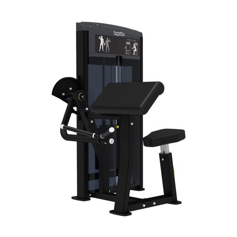 BICEPS – ARM CURL