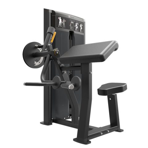ARM CURL /TRICEP EXTENSION