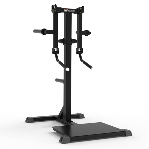 STANDING LATERAL RAISE