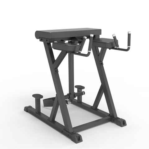 REVERSE HYPEREXTENSION