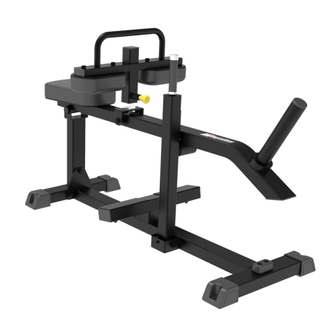 SEATED CALF RAISE
