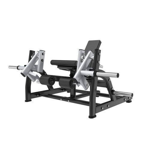 LATERAL LEG EXTENSION
