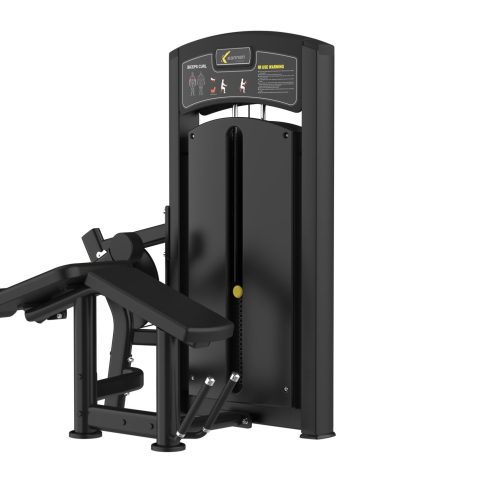 Mesa Flexora